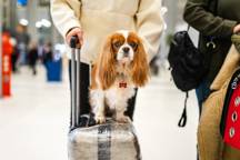 GettyImages-1467669905.jpg