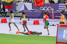 Lamecha Girma