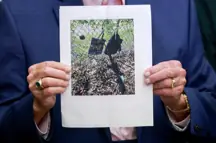 GettyImages-2172232522.jpg