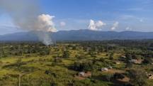 Mount Nimba Strict Nature Reserve