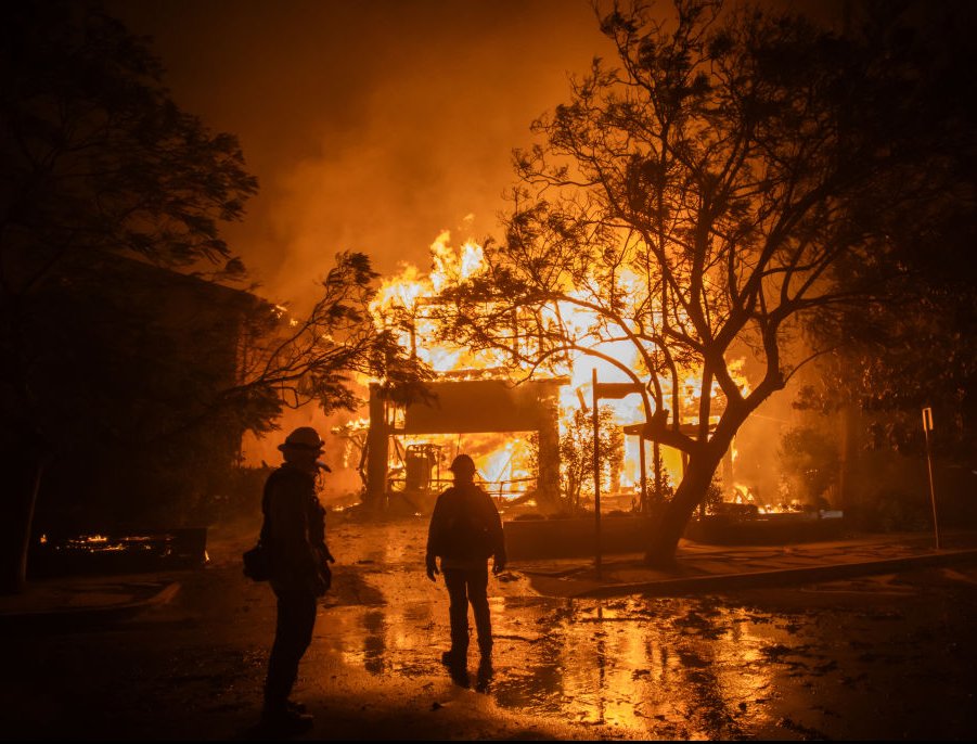 At least 11 people have died in the devastating blazes. Credit: Apu Gomes/ Getty