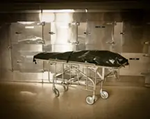 body bag