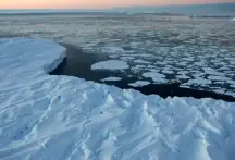Ice caps