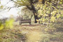 park bench