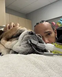 Lewis Hamilton shared the heartbreaking news about Roscoe. Credit: Lewis Hamilton/X