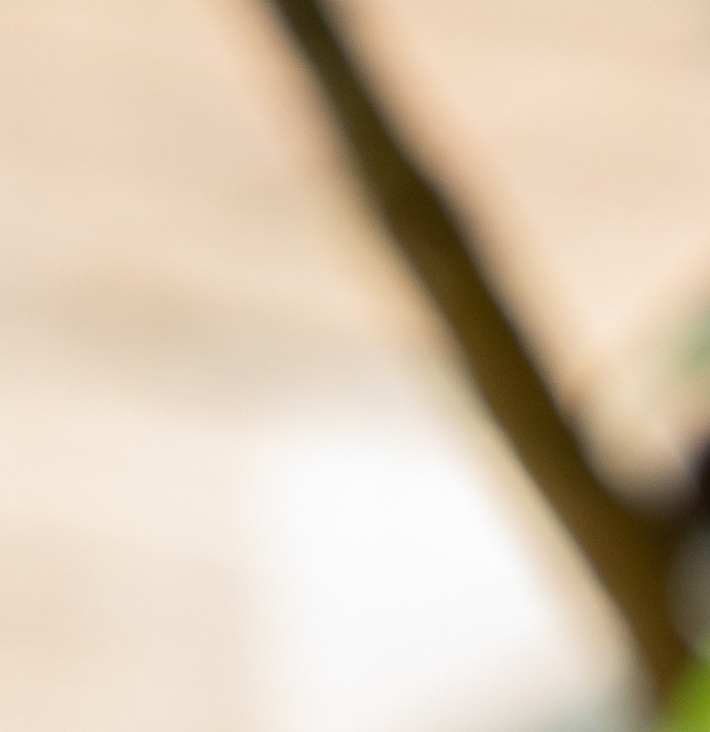 Inch's Cloudy Cider Cherry Sour Cocktail