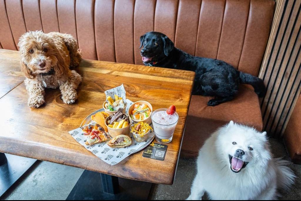 7.-Three-dogs-with-food-min-1024x683.jpg