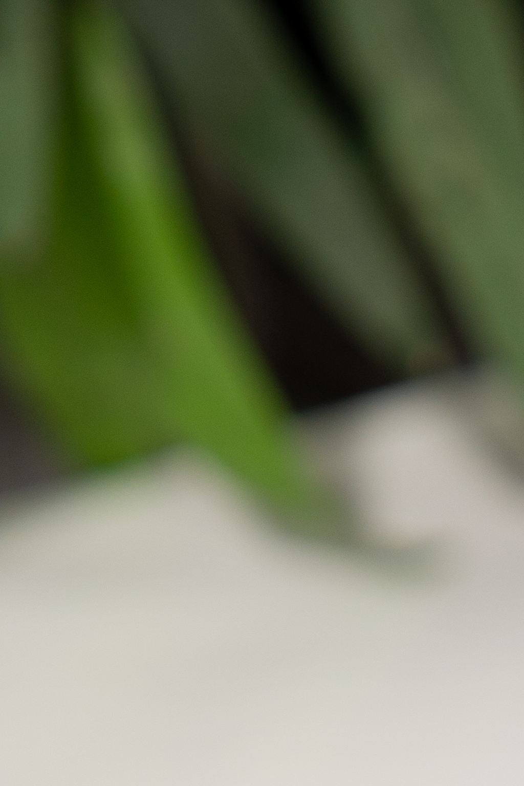 Julie Lin’s Curry Leaf Chicken Legs with Salted Egg Yolk Sauce