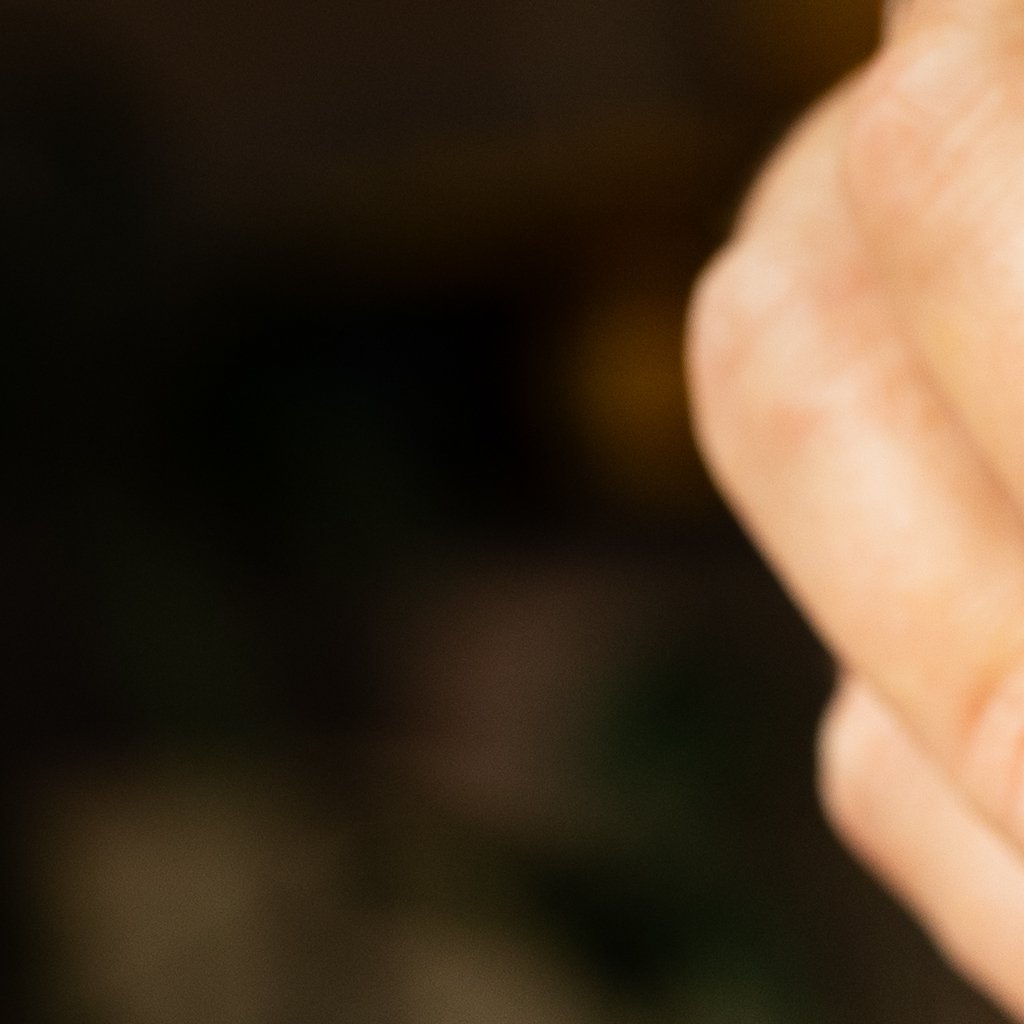 Indian Spiced Onion Rings