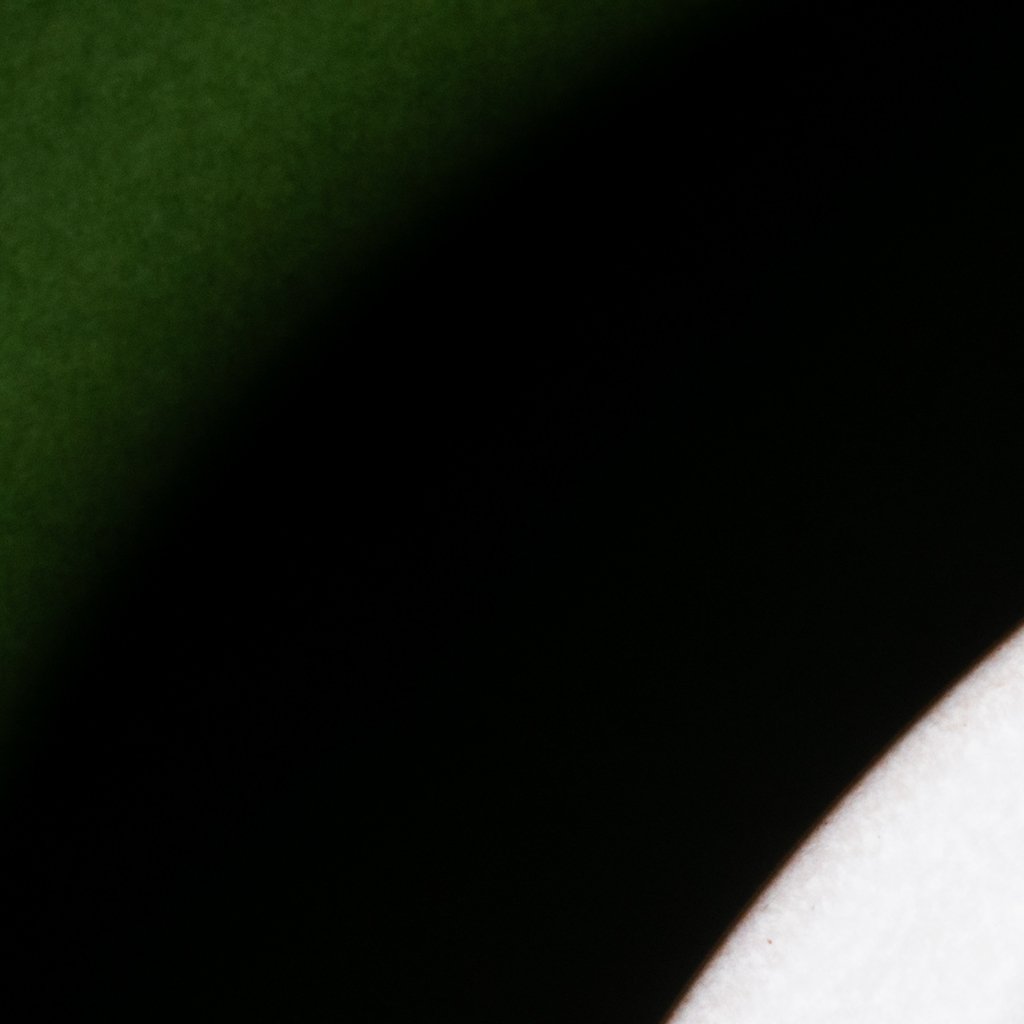 Garlic and Parm Brussels Sprouts