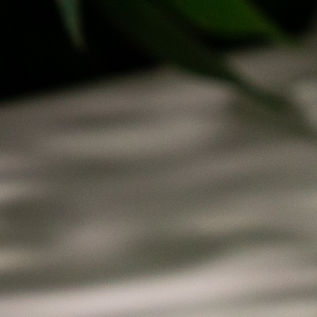 French Alps Open Sandwich