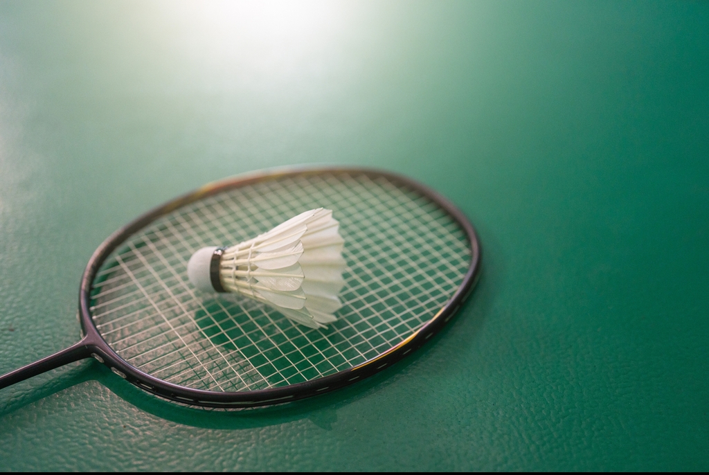 Six-Year-Old Girl Is Killed In Freak Badminton Accident Involving ...