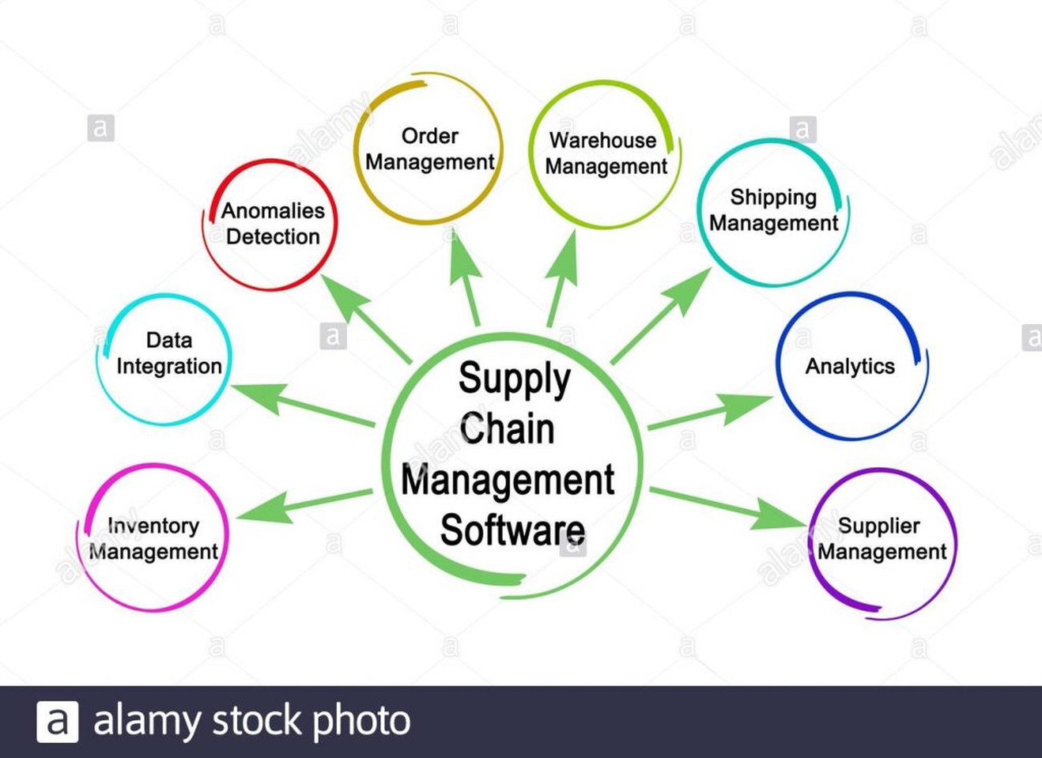 Supply Chain Management Software- The Basics