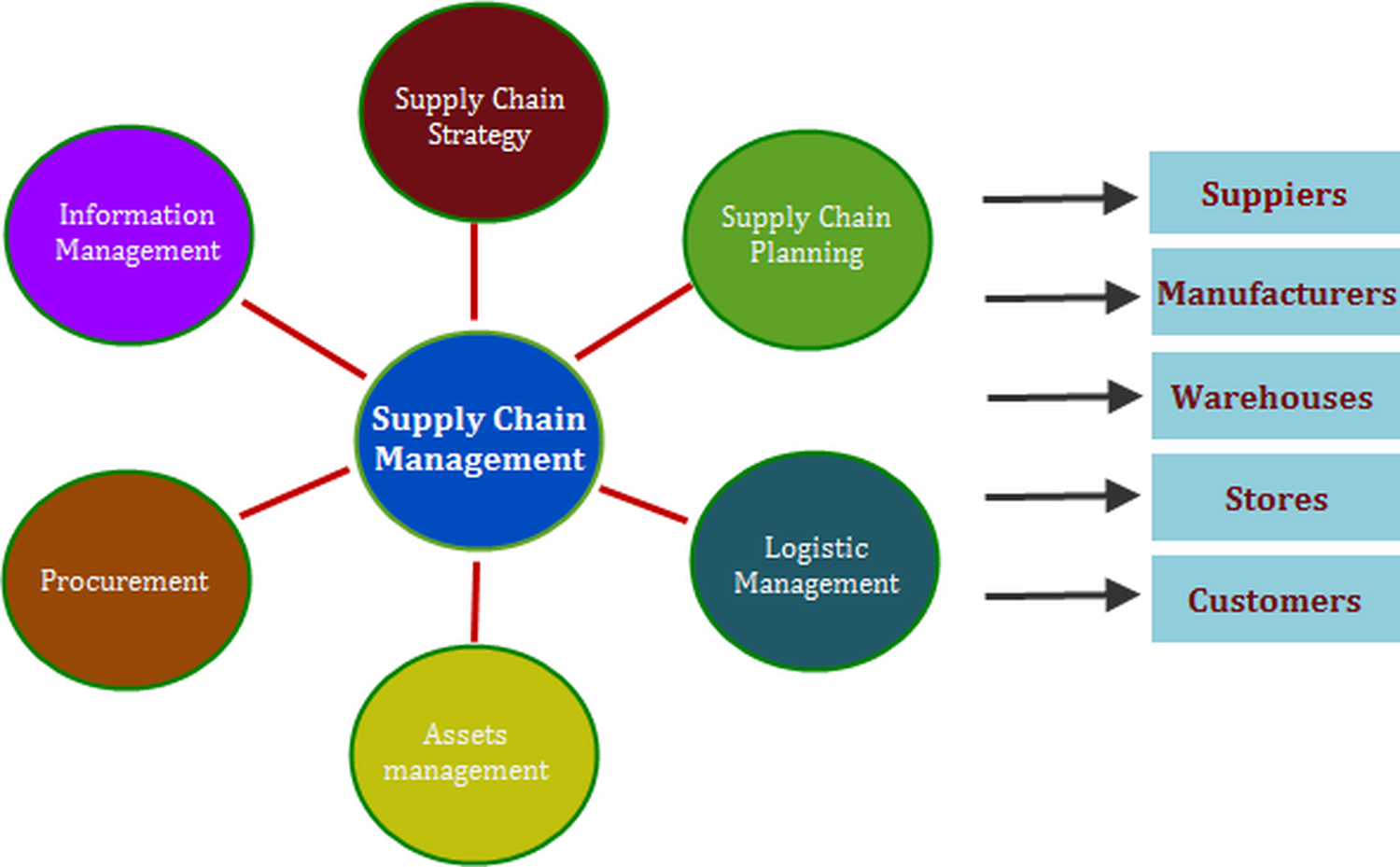 Supply Chain Management (SCM) Software, Process, and Roles